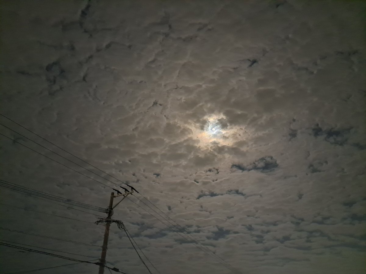 higann's tweet photo. 帰り道、雲の間にちらり観えましたわよ🌝明るい空でした https://t.co/yfFAHRE0AW