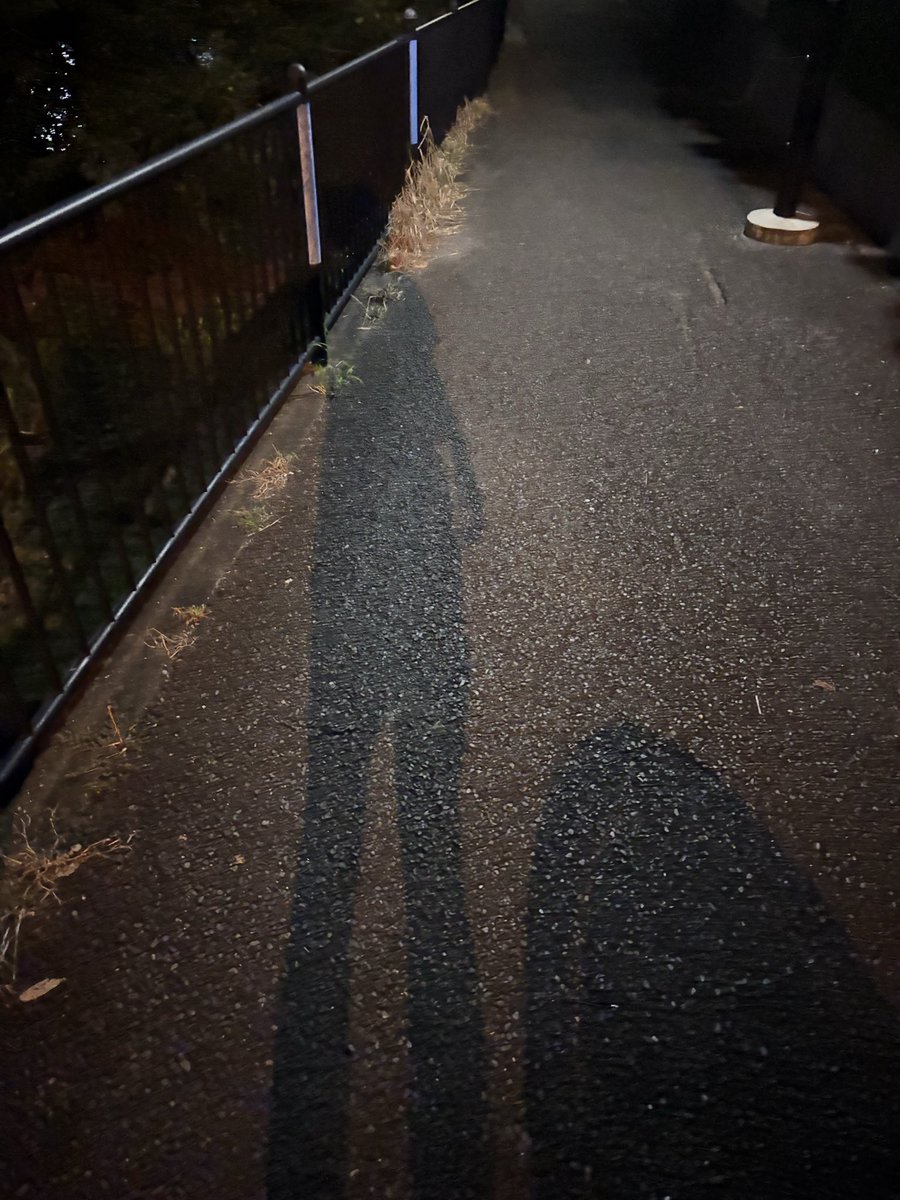 hrhr_tt's tweet photo. 最近雨にかこつけてサボりまくってたからまた頑張るゾイ https://t.co/gCUqEa0aYj