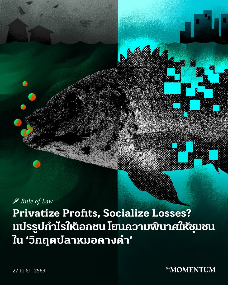 themomentumco's tweet photo. Privatize Profits, Socialize Losses? แปรรูปกำไรให้เอกชน โยนความพินาศให้ชุมชนใน ‘วิกฤตปลาหมอคางดำ’

วิกฤตการแพร่ระบาดของ ‘ปลาหมอคางดำ’ เริ่มต้นในพื้นที่จังหวัดสมุทรสงคราม วิกฤตนี้ไม่ได้เป็นเพียงปัญหาทางระบบนิเวศ แต่คือภาพสะท้อนของการสูญเสียพื้นที่ทำกินและวิถีชีวิตของชาวบ้านอย่างรุนแรง

ภาพจากหน้าข่าวที่เกษตรกรต้องหลั่งน้ำตาเมื่อเปิดบ่อกุ้งขนาด 50 ไร่แล้วพบเพียงปลาหมอคางดำถึง 5 ตันยึดครองพื้นที่ จนต้องจำใจนำไปขายในราคาเพียงกิโลกรัมละ 8 บาท

ลองจินตนาการถึงหยาดเหงื่อ หนี้สิน และเงินทุนที่ทุ่มลงไปในบ่อกุ้งขนาด 50 ไร่ แต่เมื่อถึงนาทีที่แหถูกดึงขึ้นมา สิ่งที่ดิ้นพล่านอยู่ตรงหน้ากลับไม่ใช่ผลผลิตที่รอคอย แต่เป็นกองทัพ ‘ปลาหมอคางดำ’ จำนวนมหาศาล

วิกฤตการแพร่ระบาดในพื้นที่จังหวัดสมุทรสงครามครั้งนี้ จึงทะลุเพดานของคำว่าปัญหาความหลากหลายทางชีวภาพไปไกลลิบ แต่คือการ ‘ถูกบังคับให้สูญเสีย’ ทั้งต้นทุน พื้นที่ทำกิน และวิถีชีวิตดั้งเดิมอย่างโหดร้าย ภาพเกษตรกรที่ต้องกลืนน้ำตา จำใจตักสัตว์น้ำต่างถิ่นที่มาปล้นบ่อของตัวเองไปขายทิ้งในราคาเศษเนื้อเพียงกิโลกรัมละ 8 บาท

ไม่ใช่แค่โศกนาฏกรรมทางเศรษฐกิจ แต่นี่คือ ‘ความรุนแรงเชิงโครงสร้าง’ ที่บดขยี้ความมั่นคงทางอาหารระดับฐานราก และปล่อยให้ประชาชนตัวเล็กๆ ต้องแบกรับต้นทุนความพินาศ อย่างเป็นรูปธรรมที่สุด

ลุ่มน้ำแม่กลองไม่ใช่แค่สายน้ำที่ไหลออกสู่อ่าวไทย แต่คือ ‘ทรัพยากรร่วม’ ที่หล่อเลี้ยงรากฐานทางเศรษฐกิจและวัฒนธรรมของชาวสมุทรสงครามและพื้นที่ข้างเคียงมาหลายชั่วอายุคน

การรุกรานของปลาหมอคางดำจึงไม่ใช่แค่การลบชื่อกุ้งแม่น้ำหรือปลาท้องถิ่นออกจากสมุดบัญชีรายรับรายจ่าย แต่เป็นการพรากเอาสิทธิในพื้นที่สาธารณะ สิทธิในการทำกิน และความมั่นคงทางอาหารไปจากมือของคนในพื้นที่ สิ่งที่สูญเสียไปจึงไม่อาจประเมินค่าได้เพียงราคาสัตว์น้ำตามกลไกตลาด แต่คือการล่มสลายของระบบนิเวศทางสังคมที่อาจไม่ฟื้นคืนกลับมาได้อีก

ภาพการลงแขกจับปลาหมอคางดำที่แพร่ระบาดจนเปลี่ยนสีของลำคลองให้กลายเป็นสีของเกล็ดสัตว์ประหลาดนำเข้า ย้ำให้เห็นสภาวะอันบอบช้ำที่ผู้คนและระบบนิเวศในลุ่มน้ำแม่กลองกำลังเผชิญ ความหลากหลายทางชีวภาพที่เคยหล่อเลี้ยงชุมชนกำลังถูกทำลาย กุ้งแม่น้ำและบรรดาพันธุ์ปลาท้องถิ่นที่เดิมทีต้องดิ้นรนเอาชีวิตรอดจากความแปรปรวนของสภาวะโลกร้อนและวิกฤตน้ำทะเลหนุนสูงอยู่แล้ว กลับต้องถูกซ้ำเติมจนแทบสูญพันธุ์จาก ‘หายนะนำเข้า’ ที่เข้ามาแย่งชิงพื้นที่และกวาดล้างห่วงโซ่อาหาร

สิ่งนี้จึงไม่ใช่แค่ภัยธรรมชาติที่เกิดขึ้นตามยถากรรม แต่คือวิกฤตการณ์ที่เข้ามากัดกินความมั่นคงทางอาหารและทำลายเศรษฐกิจระดับฐานราก

วิกฤตที่เกิดขึ้นไม่ได้ตกลงมาจากฟ้า ทว่าปฐมบทของความพินาศนี้ก่อตัวขึ้นจากความหละหลวมทางโครงสร้างในการบริหารจัดการความเสี่ยง นับตั้งแต่การเริ่มต้นเปิดประตูให้กลุ่มทุนขนาดใหญ่นำเข้าสัตว์น้ำต่างถิ่นมาเพื่อทดลองวิจัยตั้งแต่ปี 2553 กระบวนการตรวจสอบและควบคุมทางชีวภาพที่ควรจะเข้มงวดรัดกุมกลับเต็มไปด้วยช่องโหว่ และความไร้ประสิทธิภาพ

การปล่อยปละละเลยเช่นนี้สะท้อนให้เห็นถึงกลไกของระบบราชการที่ล้มเหลวในการเป็นผู้คุ้มครองผลประโยชน์สาธารณะ จนท้ายที่สุด สัตว์น้ำที่ควรถูกควบคุมดูแลอย่างเข้มงวดในระบบปิดหลุดรอดออกมาเป็น ‘อาวุธชีวภาพ’ ที่ทำลายล้างระบบนิเวศและแหล่งทำกินของชาวแม่กลอง และกำลังจะขยายวงกว้างไปยังแหล่งทำกินของเกษตรกรทั่วประเทศ

ในประเด็นรอยรั่วของการจัดการความเสี่ยงนี้ ศาลปกครองกลางมีคำพิพากษาไปเมื่อวันที่ 8 กันยายน 2569 ที่ผ่านมา โดยชี้ชัดว่า ‘กรมประมง’ ละเลยการปฏิบัติหน้าที่ตามกฎหมายในการระงับยับยั้งการแพร่ระบาดของปลาหมอคางดำ

โดยศาลมีคำสั่งให้กระทรวงมหาดไทยสั่งการไปยังผู้ว่าราชการจังหวัดสมุทรสงคราม ประกาศให้พื้นที่ดังกล่าวเป็น ‘เขตภัยพิบัติ’ เพื่อเปิดทางให้หน่วยงานระดับจังหวัดเร่งรัดกระบวนการช่วยเหลือและเยียวยาผู้ฟ้องคดี ตลอดจนชาวบ้านที่ได้รับผลกระทบในพื้นที่ได้อย่างทันท่วงที

คำพิพากษานี้คือเครื่องยืนยันว่า เมื่อกลไกรัฐล้มเหลวในการใช้อำนาจทางปกครองเพื่อปกป้องสิ่งแวดล้อม รัฐย่อมไม่อาจปฏิเสธความรับผิดชอบในการเยียวยา

เมื่อหันไปสำรวจปฏิกิริยาตอบรับจากภาครัฐและหน่วยงานราชการ สิ่งที่สังคมเห็นกลับเป็นเพียงมาตรการบรรเทาเหตุระยะสั้นที่วนเวียนอยู่กับการแก้ปัญหาที่ปลายเหตุ ไม่ว่าจะเป็นแคมเปญรณรงค์ให้ชาวบ้านช่วยกันจับมากิน การใช้งบประมาณแผ่นดินตั้งโต๊ะรับซื้อปลาในราคาถูก หรือการปล่อยปลานักล่าลงสู่แหล่งน้ำเพื่อควบคุมประชากร

มาตรการเหล่านี้ล้วนเป็นการผลักภาระให้ประชาชนและภาษีของประเทศต้องคอยตามล้างตามเช็ดวิกฤตดังกล่าว แทนที่รัฐจะลุกขึ้นมาใช้อำนาจปกครองอย่างเด็ดขาด เพื่อสืบสาวหาต้นตอและบังคับใช้หลักการ ‘ผู้ก่อมลพิษเป็นผู้จ่าย’ (Polluter Pays Principle) กับกลุ่มทุนขนาดใหญ่

ท่ามกลางวิกฤตที่ทวีความรุนแรง กลไกที่ควรจะปกป้องประชาชนกลับทำงานในแดนสนธยา การปฏิเสธความรับผิดชอบของกลุ่มทุนต้นทางโดยอาศัยความซับซ้อนของข้อเท็จจริง ภาระการพิสูจน์ และช่องโหว่ทางกฎหมายเป็นเกราะกำบัง ทำให้หลักนิติธรรมขั้นพื้นฐานอย่าง ‘ผู้ก่อมลพิษเป็นผู้จ่าย’ กลายเป็นเพียงตัวอักษรที่ถูกแช่แข็ง ในขณะที่ภาครัฐใช้มาตรการแก้ปัญหาเฉพาะหน้าด้วยการนำเงินภาษีของประชาชนมาอุดรอยรั่ว แทนที่จะใช้อำนาจปกครองอย่างเด็ดขาดเพื่อดึงตัวผู้ก่อเหตุมาเผชิญหน้ากับความพินาศ

เป็นเวลากว่า 16 ปีนับแต่เกิดเหตุการแพร่ระบาด (หากนับจุดเริ่มต้นจากการอนุญาตให้นำเข้ามาทดลองในปี 2553) แต่จนถึงปัจจุบัน การแสดงความรับผิดชอบอย่างเป็นรูปธรรมจากทั้งกลไกรัฐและเอกชนต้นทางกลับยังคงพร่าเลือนและเชื่องช้า แม้ความเคลื่อนไหวล่าสุดในกระบวนการยุติธรรม ทั้งคำพิพากษาศาลปกครองที่ชี้ชัดถึงความบกพร่องของหน่วยงานรัฐ และคำสั่งรับพิจารณาคดีแบบกลุ่มอาจจะช่วยจุดประกายความหวังขึ้นมาบ้าง แต่นั่นก็เป็นเพียงความยุติธรรมที่เดินทางมาล่าช้าเกินกว่าความพินาศของระบบนิเวศไปมาก

นอกเหนือจากมิติการทวงถามความรับผิดทางปกครองจากรัฐ วิกฤตครั้งนี้ยังแสดงถึงการปะทะระหว่างประชาชนผู้สูญเสียกับกลุ่มทุนขนาดใหญ่ หมุดหมายสำคัญเพิ่งปรากฏขึ้นเมื่อวันที่ 14 กันยายน 2569 เมื่อศาลอุทธรณ์มีคำสั่งยืนตามศาลชั้นต้น อนุญาตให้คดีแพ่งที่ตัวแทนชาวบ้านเป็นโจทก์ยื่นฟ้องเรียกค่าเสียหายกว่า 2,000 ล้านบาท สามารถดำเนินกระบวนพิจารณาเป็น ‘คดีแบบกลุ่ม’ ได้ แม้ทางฝั่งบริษัทเอกชนคู่กรณีจะรีบออกมาชี้แจงว่าคำสั่งศาลดังกล่าวเป็นเพียงการวินิจฉัยรูปแบบการพิจารณาคดีเท่านั้น ยังมิใช่คำตัดสินชี้ขาดความผิดหรือการสั่งให้ชดใช้ค่าเสียหาย

การรวมกลุ่มเพื่อดำเนินคดีเป็นเพียงก้าวแรกของแรงกระเพื่อมระลอกใหญ่ เนื่องจากตัวแทนกลุ่มชาวบ้านเตรียมขยายแนวรบทางกฎหมาย ด้วยการผลักดันคดีแบบกลุ่มให้ครอบคลุมการเยียวยาไปยังผู้เสียหายในพื้นที่อย่างน้อย 19 จังหวัดทั่วประเทศที่กำลังเผชิญหน้ากับวิกฤตการแพร่ระบาด

ทุกวันนี้ชาวบ้านลุ่มน้ำแม่กลองยังต้องตื่นมาแบกรับต้นทุนความสูญเสียซ้ำรอยเดิมในทุกๆ วัน ท่ามกลางกระบวนการทวงคืนความยุติธรรมที่เต็มไปด้วยความซับซ้อนทางกฎหมายและกำแพงของอำนาจทุน ราวกับว่าความเป็นอยู่ของผู้คนในพื้นที่ถูกกลไกของรัฐและโครงสร้างกฎหมายปล่อยทิ้งให้จมดิ่งและถูกกัดกินไปพร้อมๆ กับพันธุ์สัตว์น้ำท้องถิ่นและผลผลิตทางประมง

การต่อสู้ทั้งในศาลปกครองและการฟ้องคดีแบบกลุ่มในครั้งนี้ อาจพาเราไปถึงคำตอบที่ว่า ระบบกฎหมายไทยมีเครื่องมือที่เข้มแข็งพอจะบังคับใช้หลัก ‘ผู้ก่อมลพิษเป็นผู้จ่าย’ ได้จริงหรือไม่ การเฝ้าติดตามคดีมหากาพย์นี้จึงไม่ใช่แค่การลุ้นผลแพ้ชนะในศาล แต่เป็นวาระสำคัญที่ชวนให้สังคมต้องร่วมกันจับตาและตั้งคำถามต่อไปว่า ท้ายที่สุดแล้ว ‘นิติรัฐ’ ของประเทศนี้ จะยอมปรับตัวเพื่อยืนหยัดปกป้องความยุติธรรมเชิงนิเวศ หรือจะยอมจำนนต่อข้อจำกัดเดิมๆ แล้วปล่อยให้ชาวบ้านตาดำๆ ต้องเป็นผู้จ่ายบิลค่าเสียหายต่อไปอย่างไร้จุดจบ

ตราบใดที่โครงสร้างทางกฎหมายยังคงมีข้อจำกัดในการบังคับใช้ และบริบทแวดล้อมยังคงสะท้อนให้เห็นถึงความเหลื่อมล้ำในการเข้าถึงกระบวนการพิสูจน์ ปลาหมอคางดำก็อาจจะไม่ใช่สิ่งมีชีวิตแปลกปลอมชนิดสุดท้ายที่เข้ามาระบาด

เรื่อง: ภานุพงศ์ จือเหลียง
ภาพ: อภิสรา วิเศษบุญลือ

#TheMomentum #RuleOfLaw #ปลาหมอคางดำ #กรมประมง #ผู้ก่อมลพิษเป็นผู้จ่าย #คางดำ #กฎหมาย #ศาลปกครอง