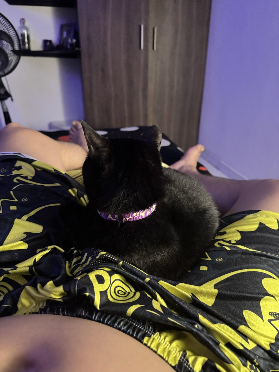 pipeL88's tweet photo. 🦇 https://t.co/RGrevsamhs