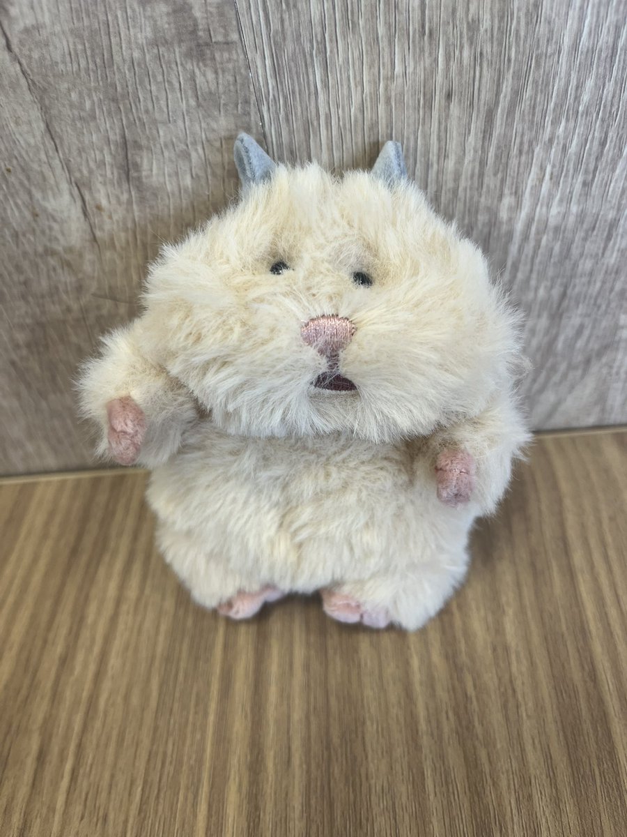 mimimidarts39's tweet photo. 佐々木未来（みく）です
たまに覚えててくれてる方がいる、クリパ（※偽※）載せてた者です
スポット参戦のつもりだったのですが福岡も出ることになりました
見切り発車すぎて今後どうなるかわかりませんができる限り試合でたいなあ〜頑張りたいなあ〜と思ってます
よろしくお願いします！ https://t.co/UEQaIuf5u9