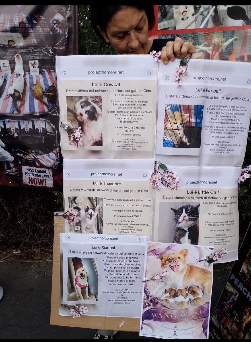 Castalia68's tweet photo. WANGWANG  FAMILY  *  FELINE GUARDIANS ITALIA  *  MILANO, CONSOLATO GENERALE di CHINA, OGGI   #JusticeForWangwang   @felineguardians   #StopAnimalAbuse https://t.co/XX0Fzhyi14