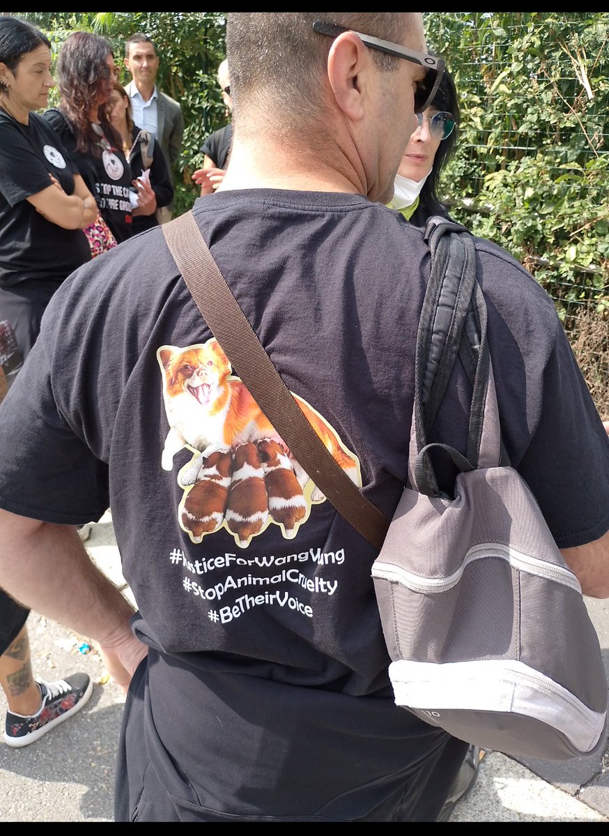 Castalia68's tweet photo. WANGWANG  FAMILY  *  FELINE GUARDIANS ITALIA  *  MILANO, CONSOLATO GENERALE di CHINA, OGGI   #JusticeForWangwang   @felineguardians   #StopAnimalAbuse https://t.co/XX0Fzhyi14