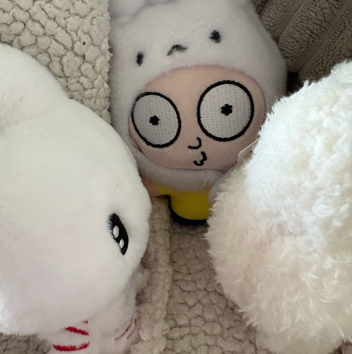 IAmTiiiKiii's tweet photo. guess the imposter... https://t.co/1x6eT3XO45
