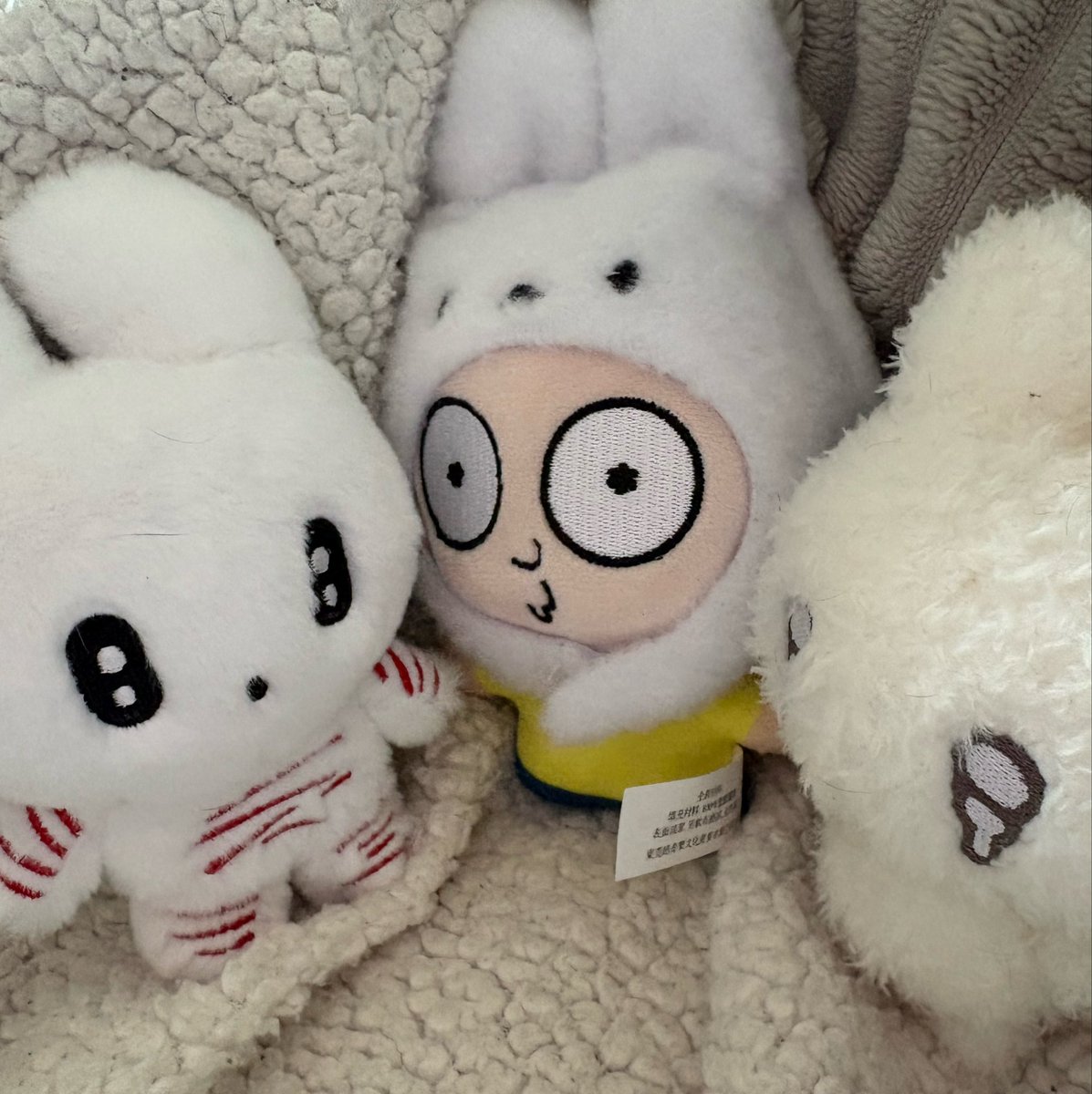 IAmTiiiKiii's tweet photo. guess the imposter... https://t.co/1x6eT3XO45