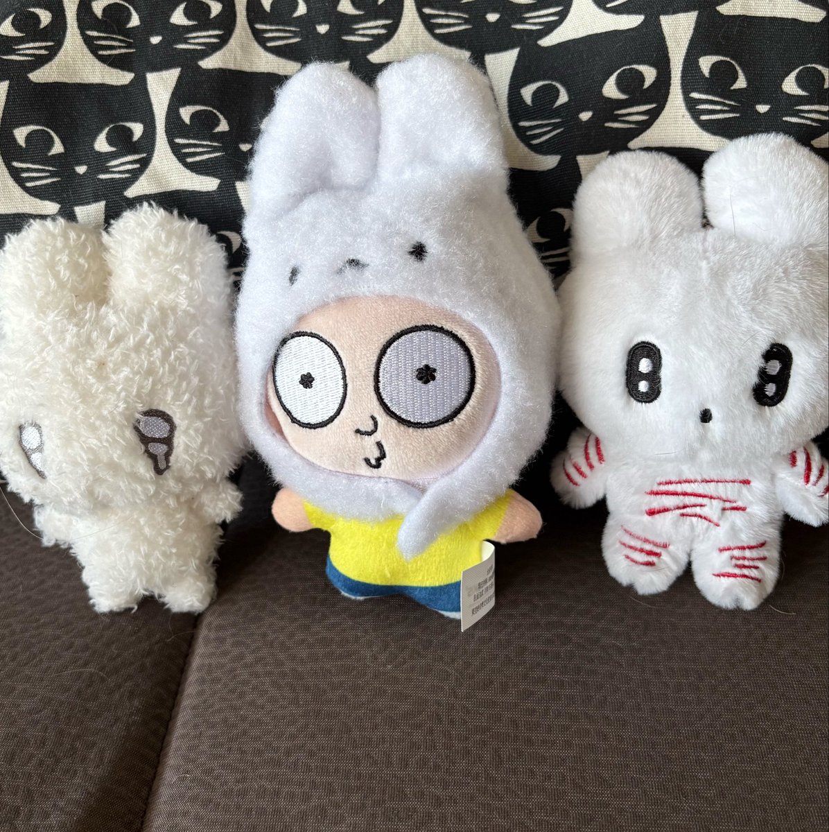 IAmTiiiKiii's tweet photo. guess the imposter... https://t.co/1x6eT3XO45
