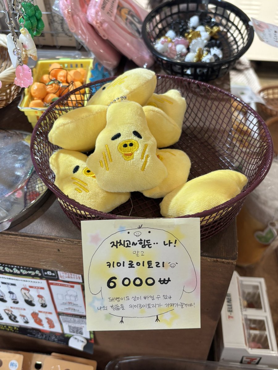 phenuale's tweet photo. 오늘  리락쿠마  이 갈색곰탱이 원없이보고옴:) https://t.co/wK9uf809tB