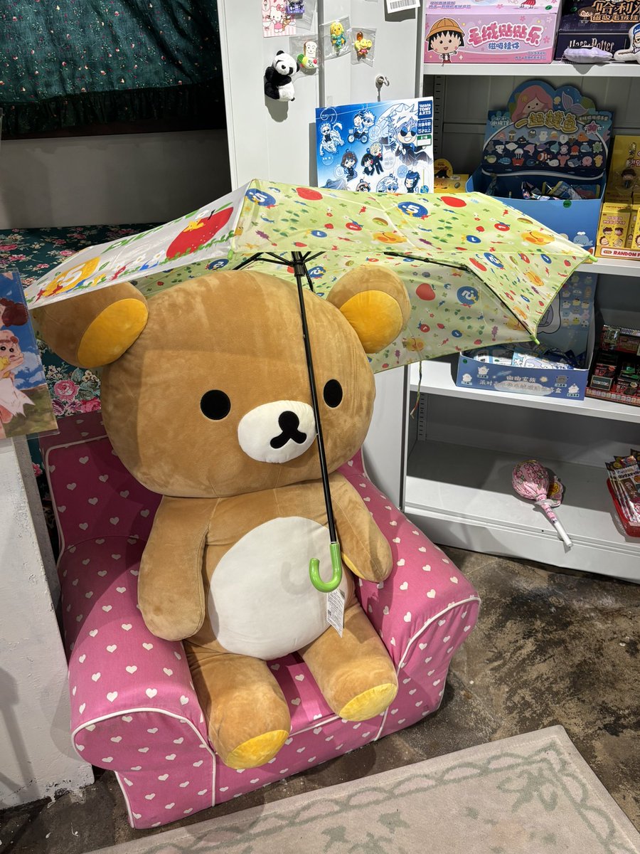 phenuale's tweet photo. 오늘  리락쿠마  이 갈색곰탱이 원없이보고옴:) https://t.co/wK9uf809tB