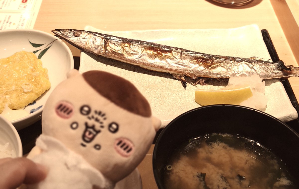 Bear1014Mr's tweet photo. パイセン、今年初のサンマだよ
パイセン、パイセンがボヤけます
パイセン、上手く写真撮れません
パイセン、サンマが冷めたら嫌なのでもう食べちゃいますね
あ、定食屋なのでお酒はナシです
＃パイセンと一緒 https://t.co/jrC3Dcrs3H