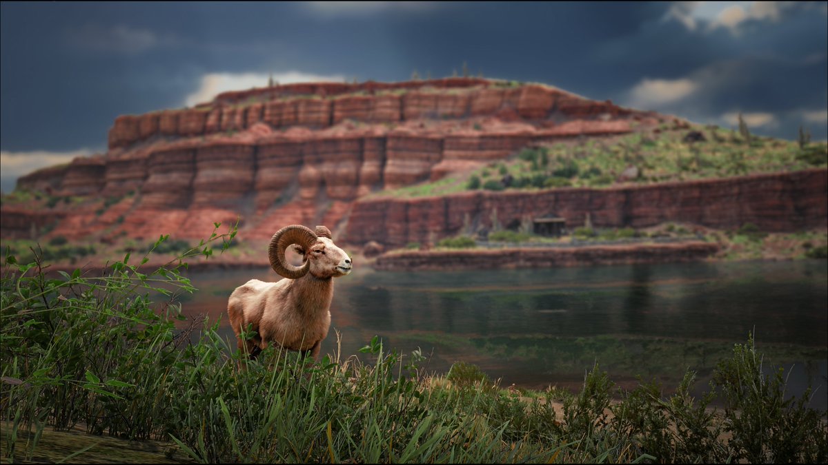 rdr2shotss's tweet photo. 📷#RedDeadRedemption2 #RockstarGames https://t.co/9UjNQnWsV5