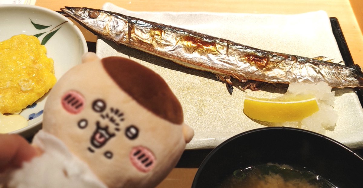 Bear1014Mr's tweet photo. パイセン、今年初のサンマだよ
パイセン、パイセンがボヤけます
パイセン、上手く写真撮れません
パイセン、サンマが冷めたら嫌なのでもう食べちゃいますね
あ、定食屋なのでお酒はナシです
＃パイセンと一緒 https://t.co/jrC3Dcrs3H