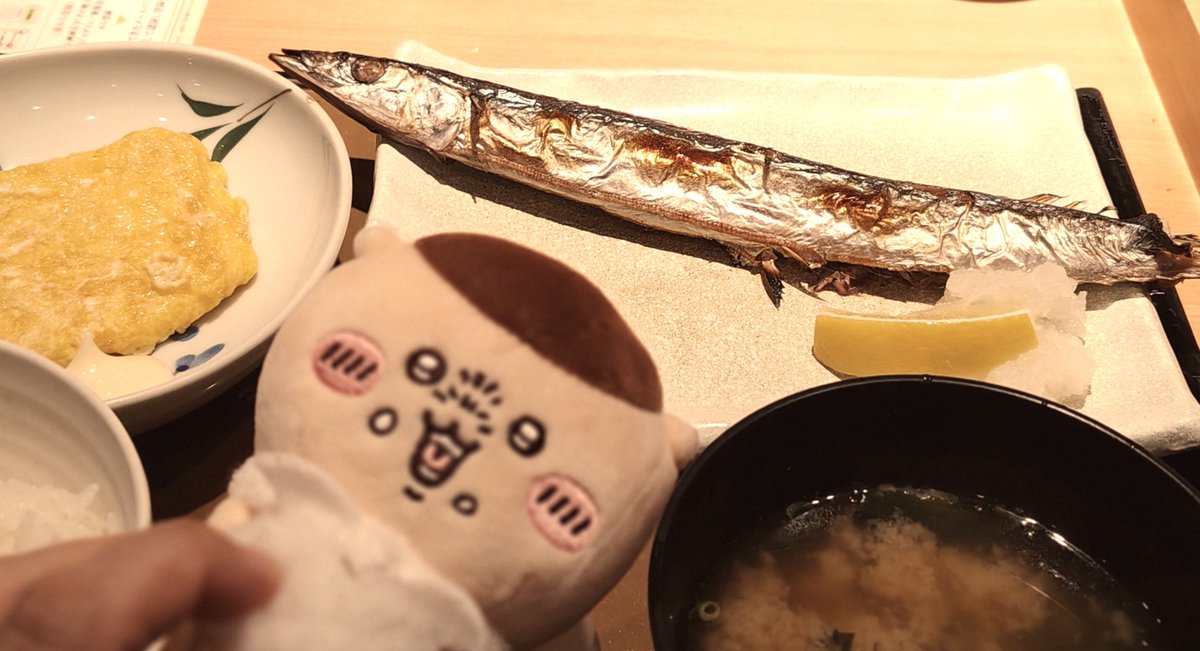 Bear1014Mr's tweet photo. パイセン、今年初のサンマだよ
パイセン、パイセンがボヤけます
パイセン、上手く写真撮れません
パイセン、サンマが冷めたら嫌なのでもう食べちゃいますね
あ、定食屋なのでお酒はナシです
＃パイセンと一緒 https://t.co/jrC3Dcrs3H