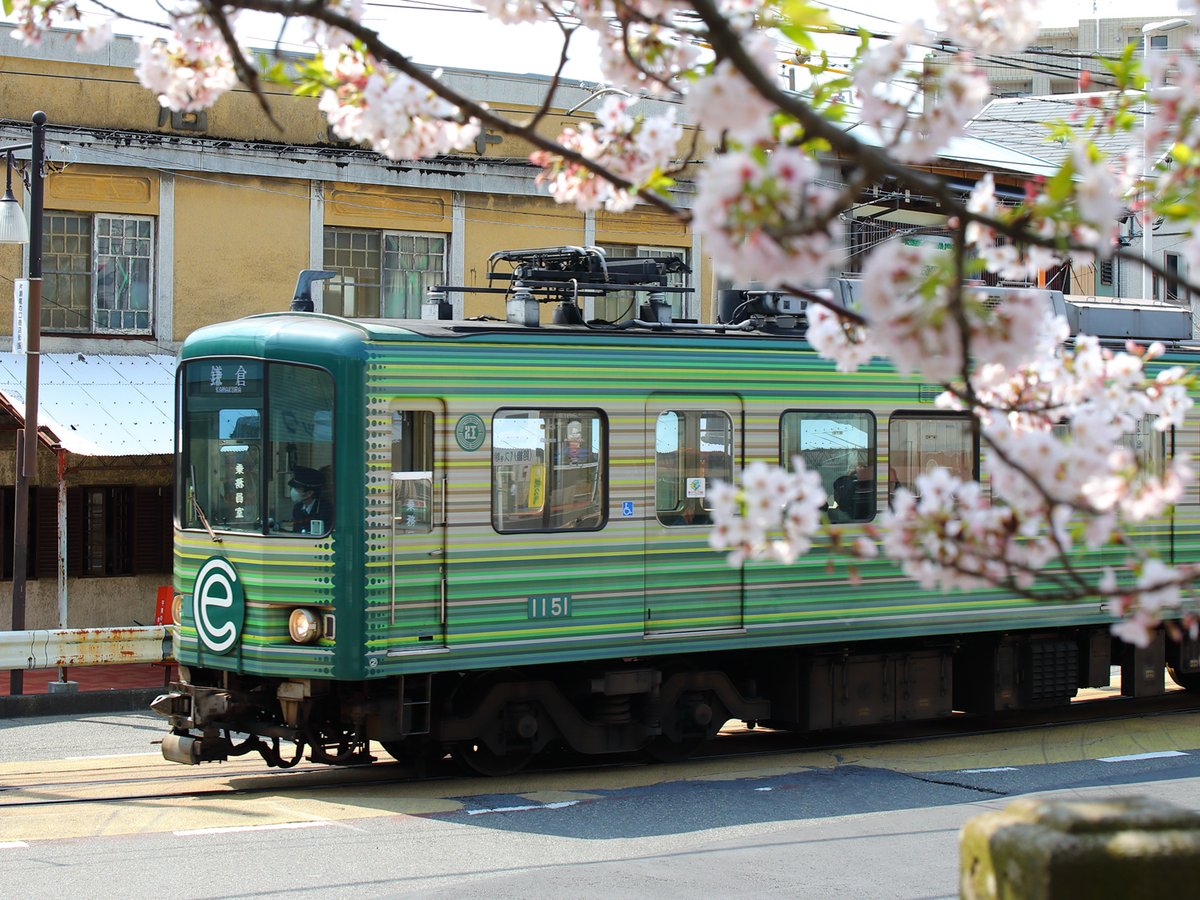 Enoden_official's tweet photo. この地域に住まう方々、訪れる方々に。
誰かの想いを伝え続けた、 #江ノ電 の走る広告塔。

記憶に残る1101号・1151号のラッピングを教えてください☺️

#ありがとう江ノ電1101・1151号 https://t.co/MtC4tjnlwZ
