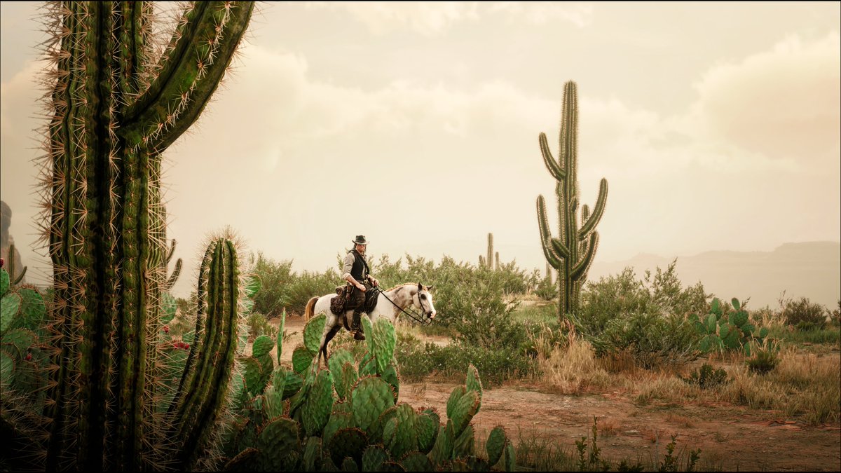 rdr2shotss's tweet photo. 📷#RedDeadRedemption2 #RockstarGames https://t.co/9UjNQnWsV5