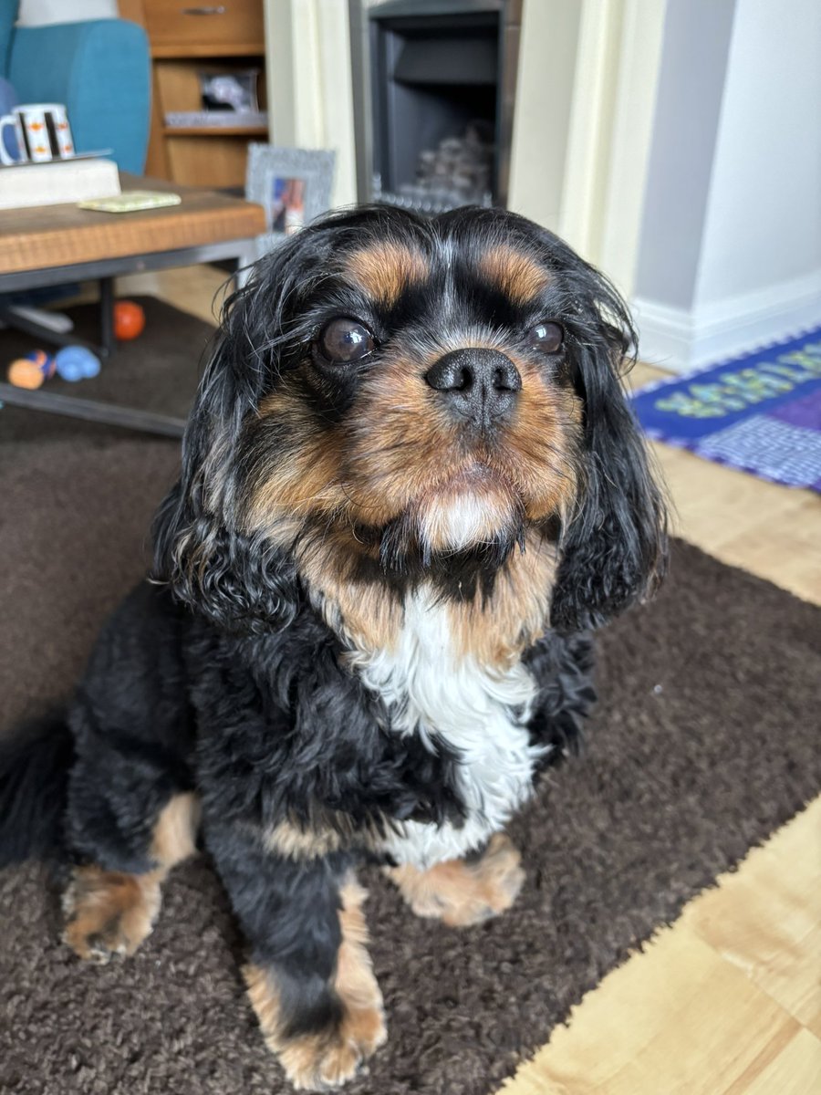 Price27P's tweet photo. #ThreeRings ππBack home now pals after a 6 hour journey home π²Fanks for followin me #ArthurOnTour adventures, av a lufferly weekend all β€οΈβ€οΈβ€οΈ@NicPrice22 https://t.co/cWun3jGWWh