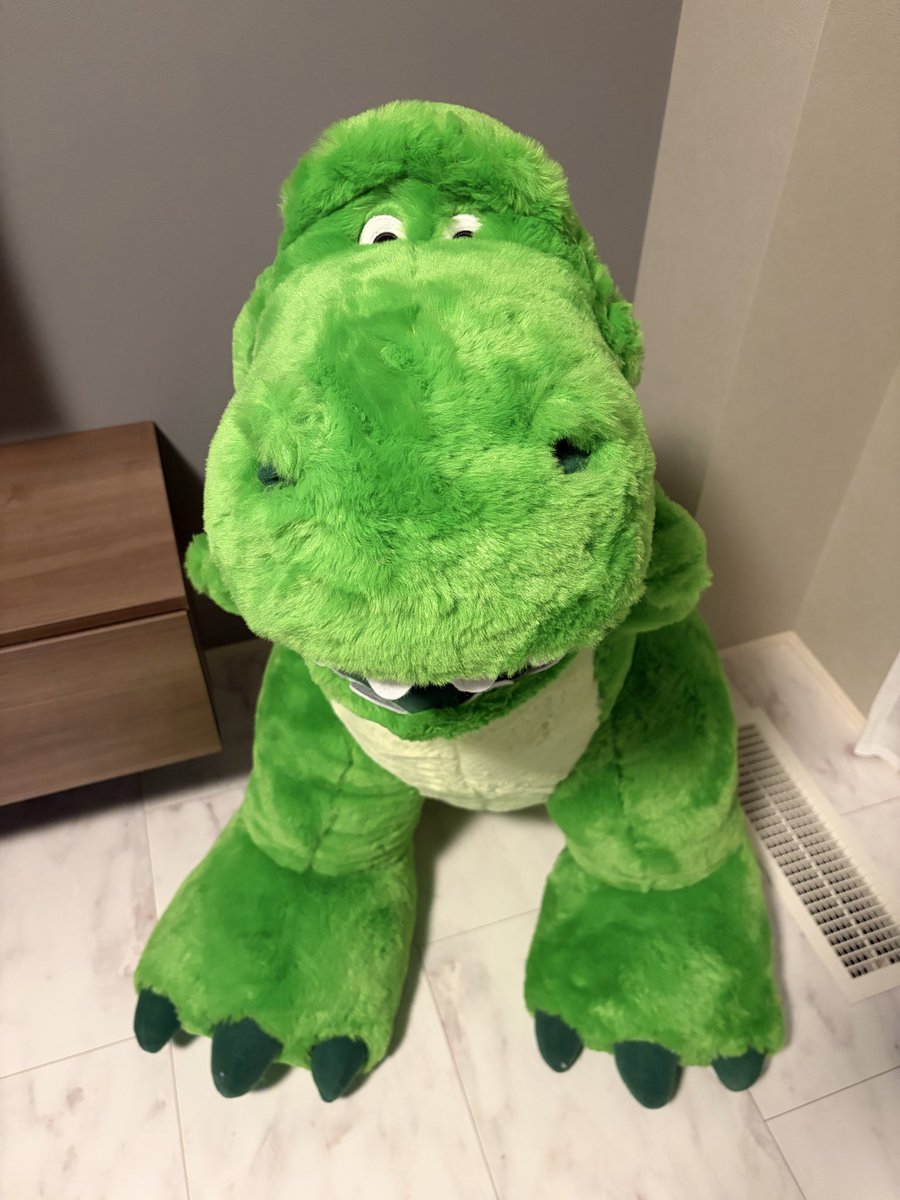 soramaru0123's tweet photo. あまりにもでかいレックスをお迎えしました💚
サイズ感伝わらないのがつらい https://t.co/sWodINdXsQ