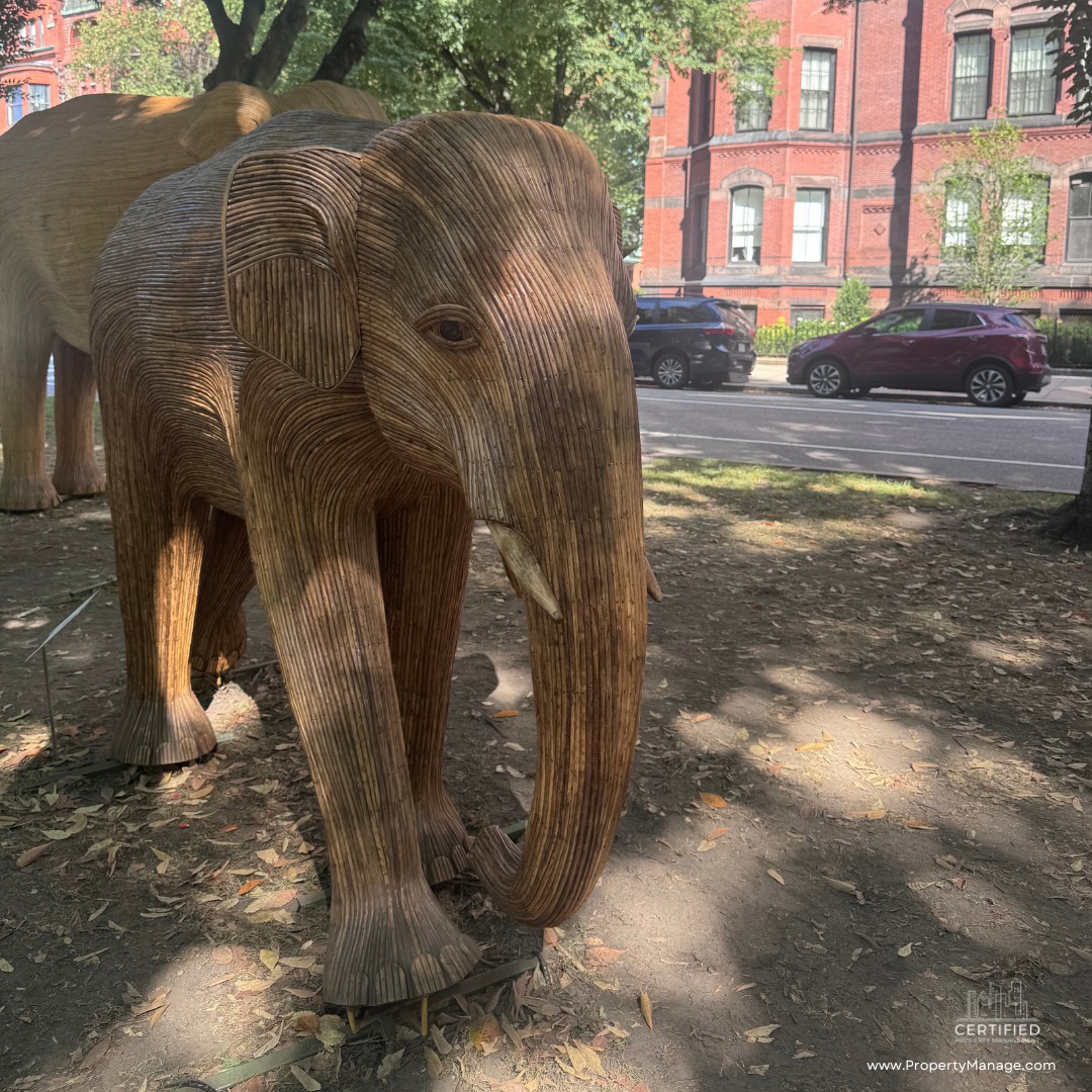 MeaghanSwenemm's tweet photo. Something unforgettable has arrived in Boston! The Great Elephant Migration features 100 life-sized elephant sculptures along Commonwealth Avenue Mall. This free public art exhibition runs through September 13, 2026—don’t miss it. https://t.co/0Yb17gNl1t