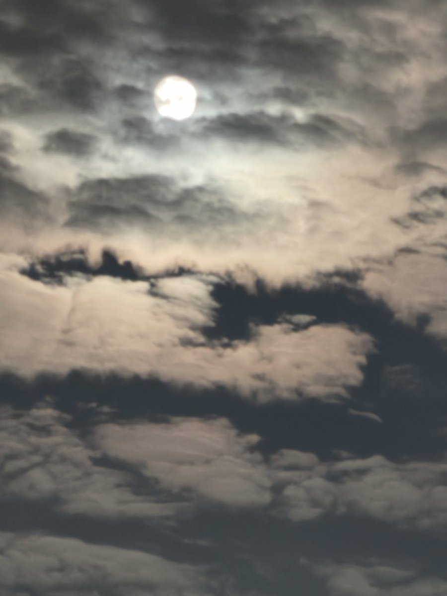 taige6rcoco's tweet photo. お月様、見えたり隠れたり🌕 https://t.co/Nax2jyLsWu