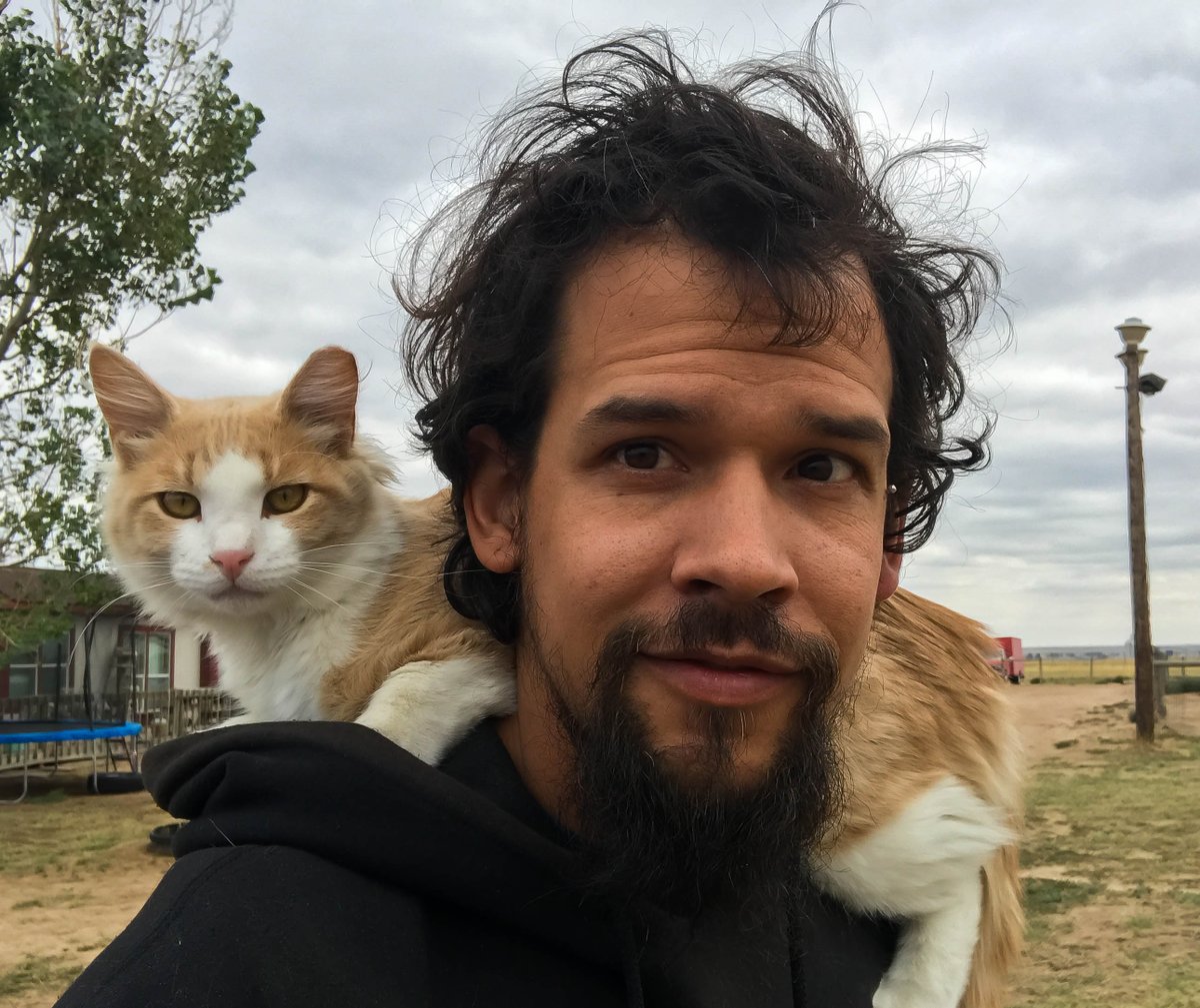 MichaelRiceColo's tweet photo. Finally put a real face (well, real fur) on the profiles. Meet the unpaid supervisor who sits in on every keyboard decision. https://t.co/EnU0KMNL72