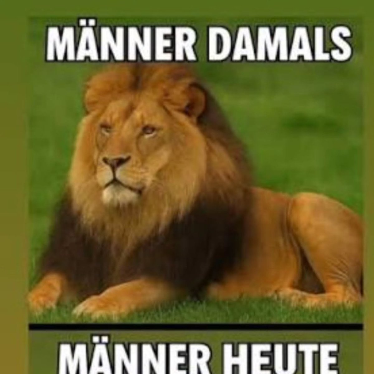TrangFiliobp's tweet photo. صورة من lachtaube1932 بتاريخ 30 أغسطس 2026. قد تكون صورة لنص يقول: «الرجال آنذاك، الرجال اليوم». https://t.co/2uyQUkSihb