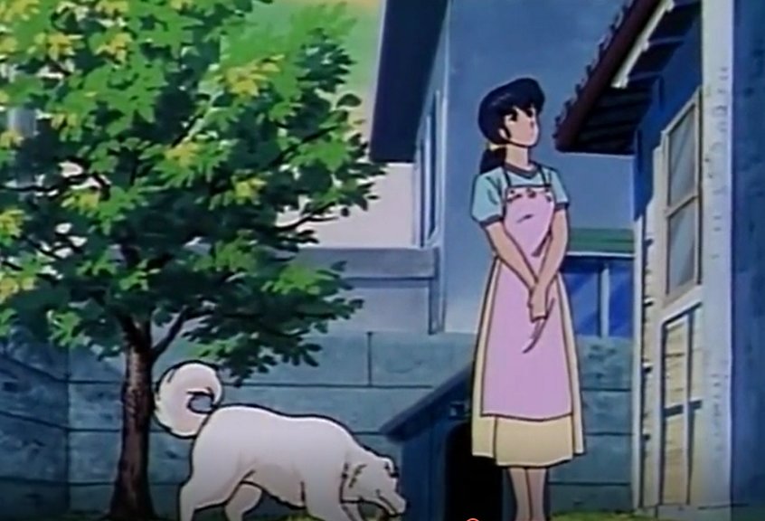 Dailymisskyoko's tweet photo. 💖Daily Kyoko #12💖
#MaisonIkkoku https://t.co/rNCR3cN6eF