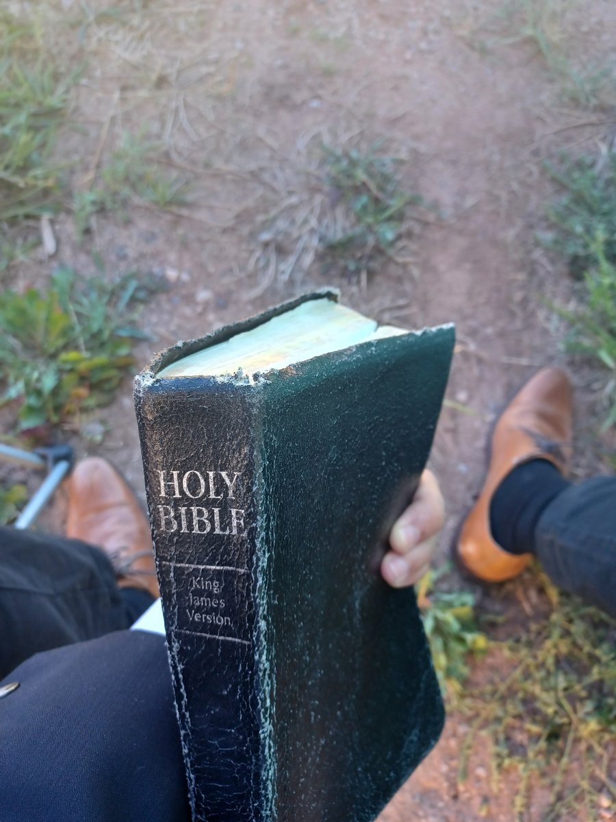 TexasPreacher's tweet photo. I found infallible proof of Noah's ark https://t.co/89p5FilsBj