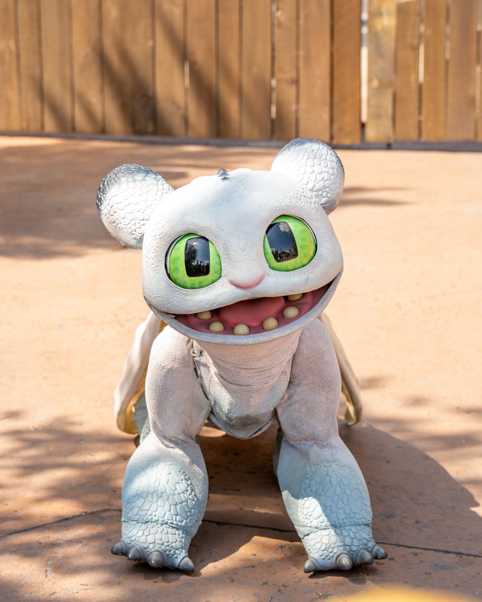 UniversalORL tweet picture
