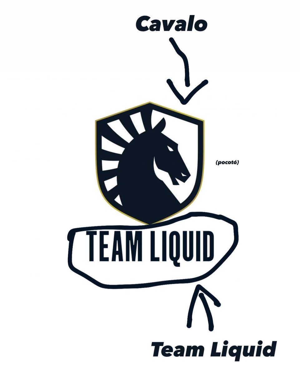 stiingfps's tweet photo. Team Liquid. https://t.co/4vYQfZjNsV