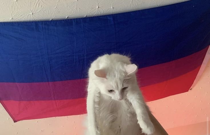 freakytimebomb's tweet photo. HAPPY DAY 25TH OF BISEXUAL VISIBILITY MONTH

AND HAPPY FRIDAY 🩷💜💙 https://t.co/U9hR40RbPO