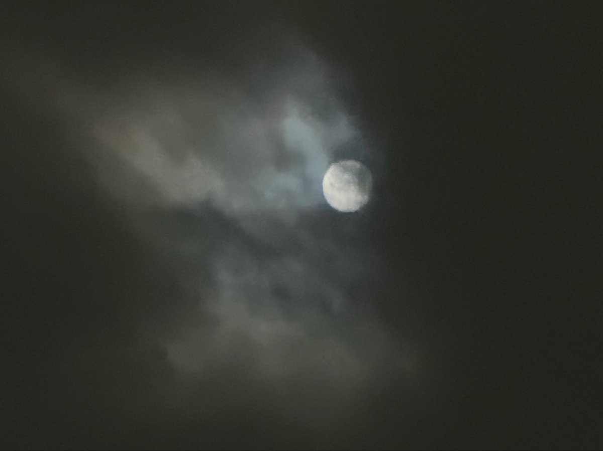 utaco22cactus's tweet photo. 十五夜お月様🌕
満月は2日後だそうだけど、綺麗なお月様のお裾分けありがとうございます😊♡
秋もど真ん中。そろそろ冬支度しないとね。
#瞬間電報健 https://t.co/PHdNKutLlR