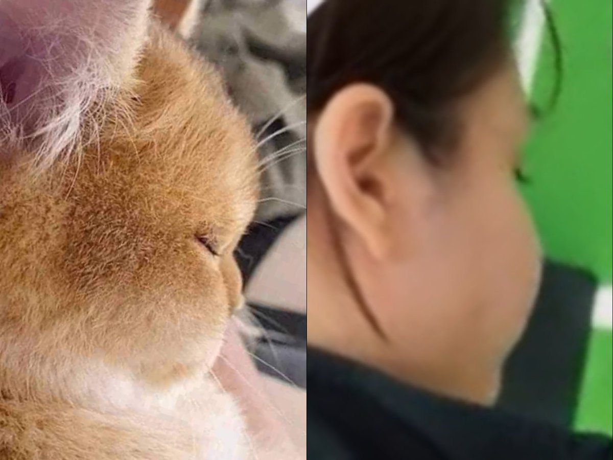 Sonyaimhere's tweet photo. i see no difference 🤏

#SonyaSaranphat  #ซอนญ่าศรัณย์ภัทร์ https://t.co/Vv4F5q44XZ
