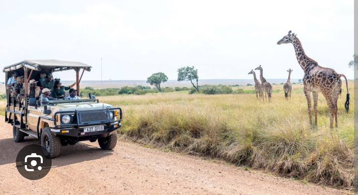 Everlynyn254's tweet photo. @LensEmpress Musa Maridhawa is right that the complex economic ecosystem of MICE tourism quietly powers livelihoods across transport, retail, and local enterprise sectors long after delegates return home. MICE Market Rewards Conference Tourism Benefits #TourismDevelopmentKE. https://t.co/Qs0nkttk9D