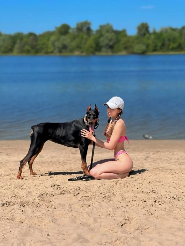 kattyknottjmjq's tweet photo. Out in the beach with my companion 🐕‍🦺♥️ 
#dogs #USA #K9 https://t.co/ZJZlkh9wG4