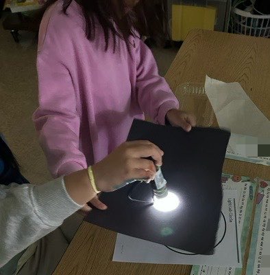 doctorgemellaro's tweet photo. Grade 1 scientists @HarrisonHawks90 @LivSchools experiment with 🔦light! https://t.co/oEujBAu0jl