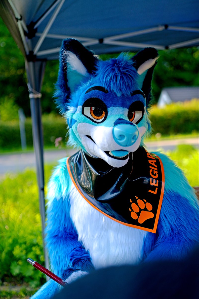 Legiarrd's tweet photo. let’s smoke shisha :3 

📸 @Zorronator 
#FursuitFriday https://t.co/oA28QlVis5
