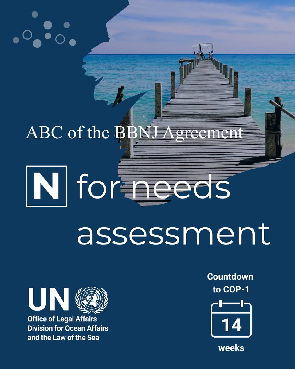 undoalos's tweet photo. Needs assessments—at national, subregional or regional levels—will help identify priorities for capacity‑building and the transfer of marine technology under the #BBNJAgreement.

For more information about the #BBNJ Agreement and COP-1, visit https://t.co/PW0FpY3MWv

#UNCLOS #UN https://t.co/VMvtwEWrem