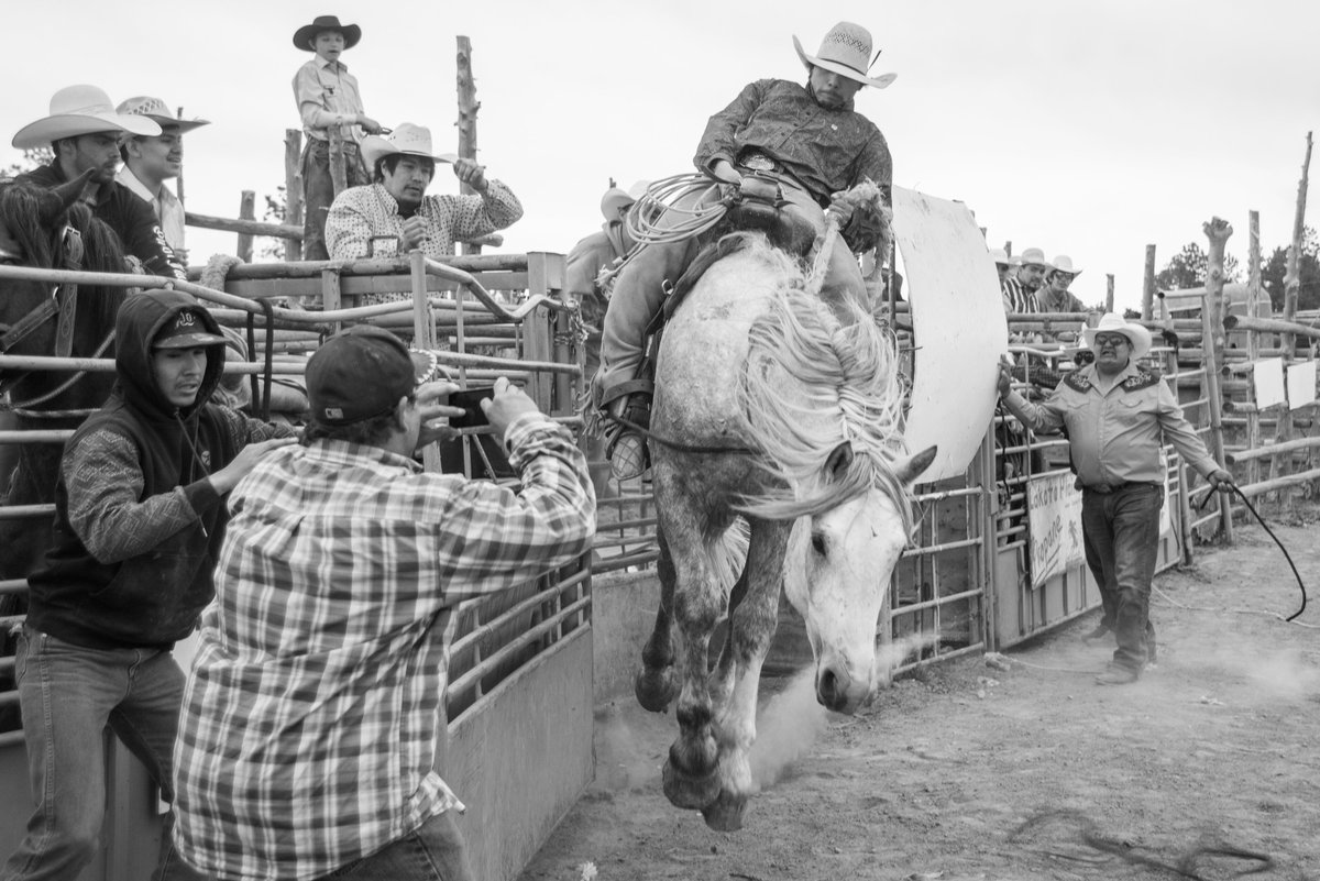 elgallo7's tweet photo. Heads up! 2022 Big River's Bronc Fiesta, Bad Out Of Hell Ranch, Pine Ridge, SD #Fridayphoto https://t.co/JQVv7S8kz1