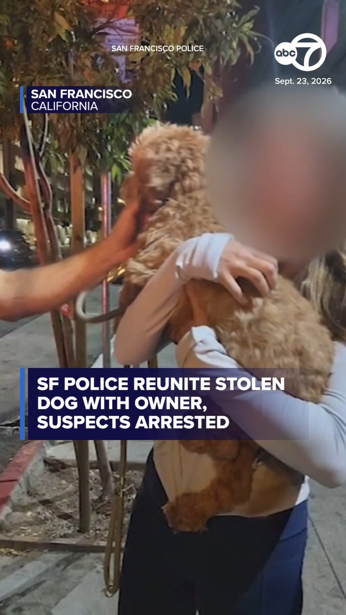An ABC7 news broadcast from San Francisco, California, dated Sept. 23, 2026, shows an emotional reunion between a person and their fluffy brown dog, with the headline 'SF POLICE REUNITE STOLEN DOG WITH OWNER, SUSPECTS ARRESTED.'
