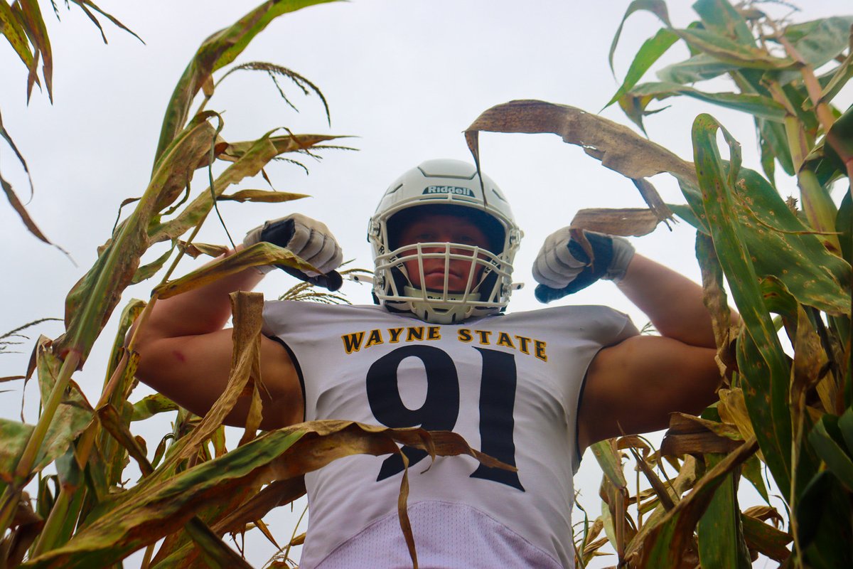 WayneStFootball's tweet photo. Week 5️⃣ Drip 💧

⚪️
⚪️
🟡

#PAWUP 🐯🔥🐾 https://t.co/5AicRz1hDE