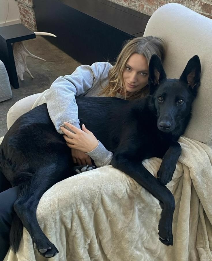 kattyknottjmjq's tweet photo. Always clingy with him ♥️ 
https://t.co/usc7osiZKB
https://t.co/usc7osiZKB

#dogsoftwitter #paobc #dogmother https://t.co/4heXdqpQNZ