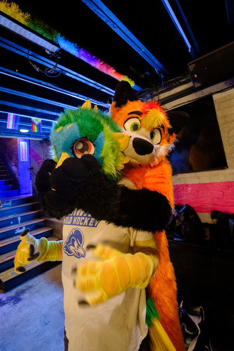 RileyTheFoxx's tweet photo. Caught my dinner... and decided to hug it!
🤤
🦅-@FlapjackBird
📸- Tann
#FursuitFriday
#DCFM
#Fursuit #Furry https://t.co/Dblw3xWa00