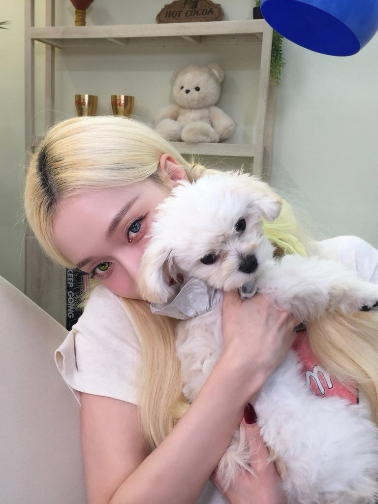 delirixmoon's tweet photo. ⠀⠀⠀⠀⠀⠀⠀
                    𓍼᷂ Выходной день с Аннабель. https://t.co/WolG3wR6qP