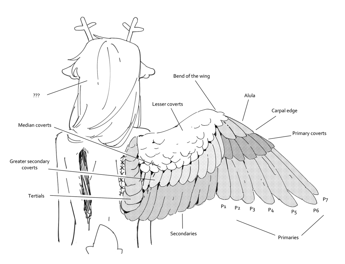 GOOMYLOID's tweet photo. Diagram of an Angel #deltarune https://t.co/xbs4j0cWtA