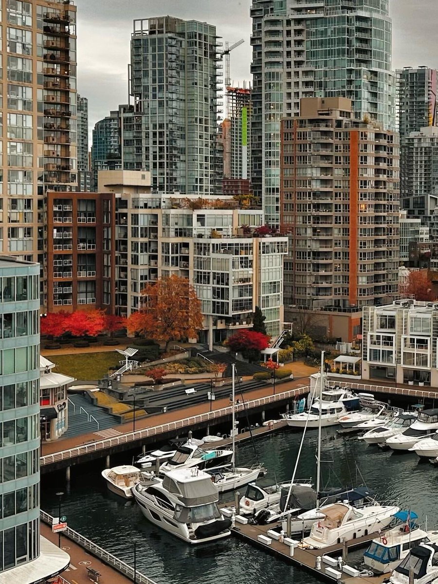 earthviewss1's tweet photo. Autumn in Vancouver, Canada 🇨🇦 https://t.co/MYVIZwTquL