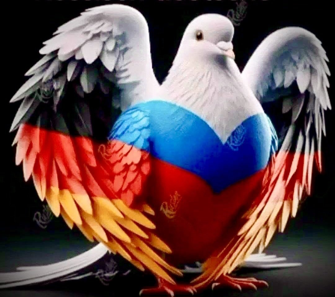 SusaBe21's tweet photo. Ich bin Deutsche und Russland ist nicht mein Feind 🇩🇪🫶🏻🇷🇺 https://t.co/O6CBBgZL1x
