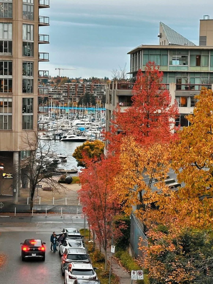 earthviewss1's tweet photo. Autumn in Vancouver, Canada 🇨🇦 https://t.co/MYVIZwTquL