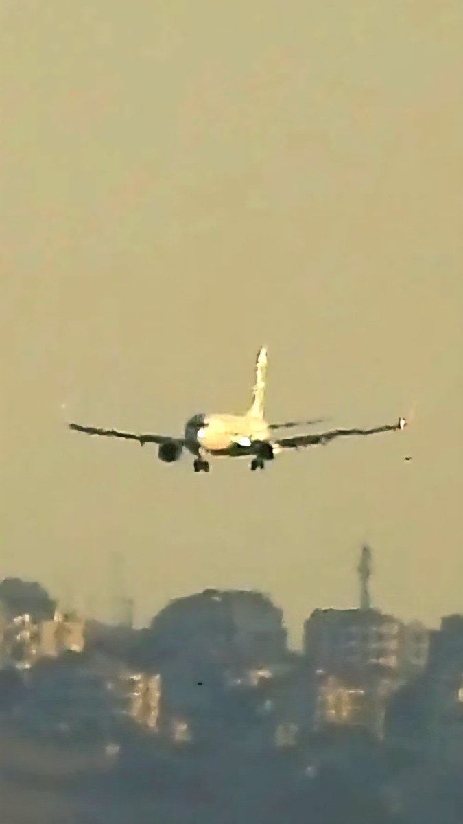 LebanonJets's tweet photo. Welcome back to #Lebanon @transaviaFR 1st flight into #Beirut from #Paris Orly in 7 months #FHTVA 737-800 https://t.co/gKeB5n1ZH7