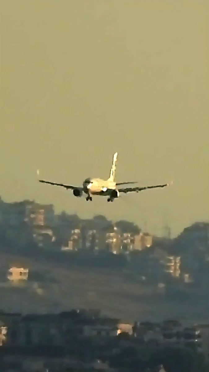 LebanonJets's tweet photo. Welcome back to #Lebanon @transaviaFR 1st flight into #Beirut from #Paris Orly in 7 months #FHTVA 737-800 https://t.co/gKeB5n1ZH7