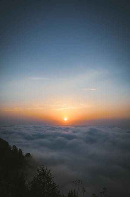 mabelpfeffe1ad's tweet photo. where everything slows deep relaxation to down, and allow take over. elene ribotlevel of Let fade and relax, 🌘 comfort everything just as warm oil gently todd lazor https://t.co/lWz7V6vXHn