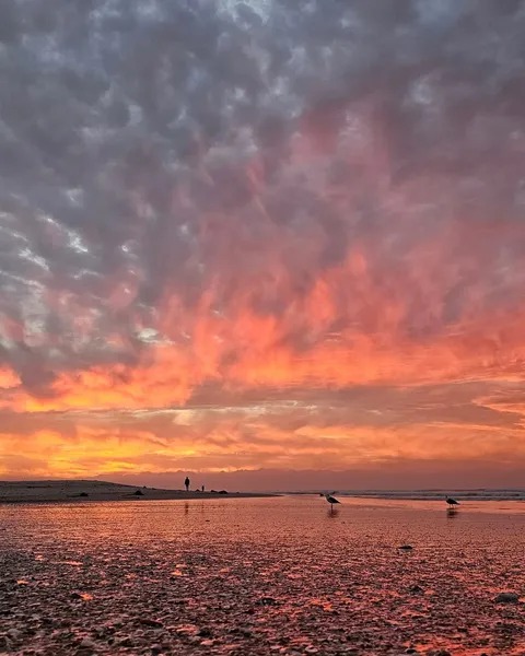 orKInKdDEV's tweet photo. *sigh* Going to bed not understanding why I’m meant to experience the amount of heartbreak I have in this lifetime, and from so many people that claim to love me. https://t.co/DaHUIPEM0R